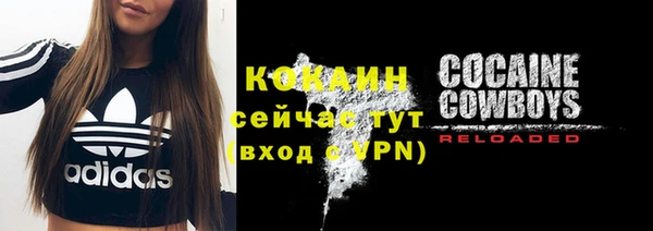 дмт Богородицк