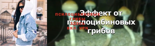 тгк Богданович