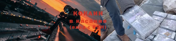 прущие крисы Бородино