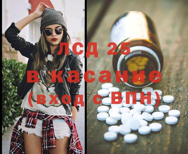 прущие крисы Бородино