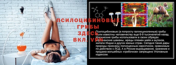 спиды Бугульма