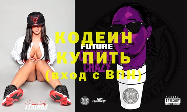 прущие крисы Бородино