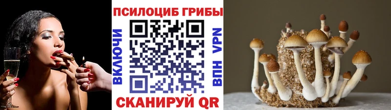Галлюциногенные грибы GOLDEN TEACHER Озёрск